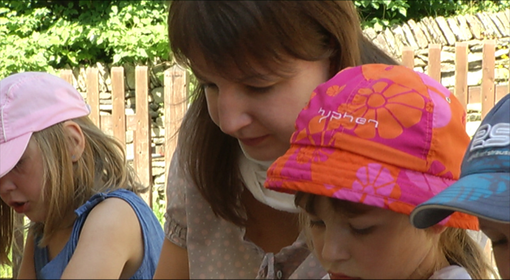 MEF - Das Thema "Der Freiwilligen Dienst"