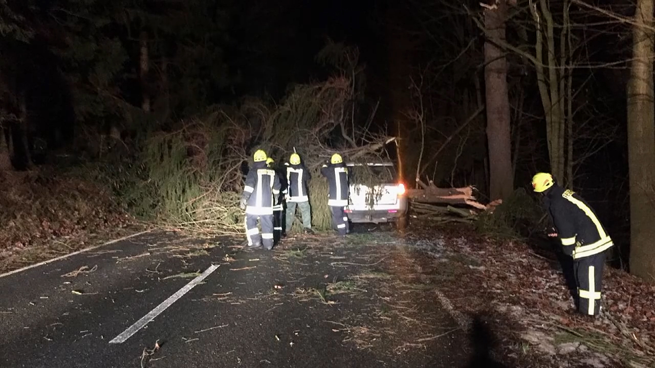 MEgional mit einer Naturforscherreise nach Karelien MEgional mit den Schäden durch Frederike im Erzgebirge