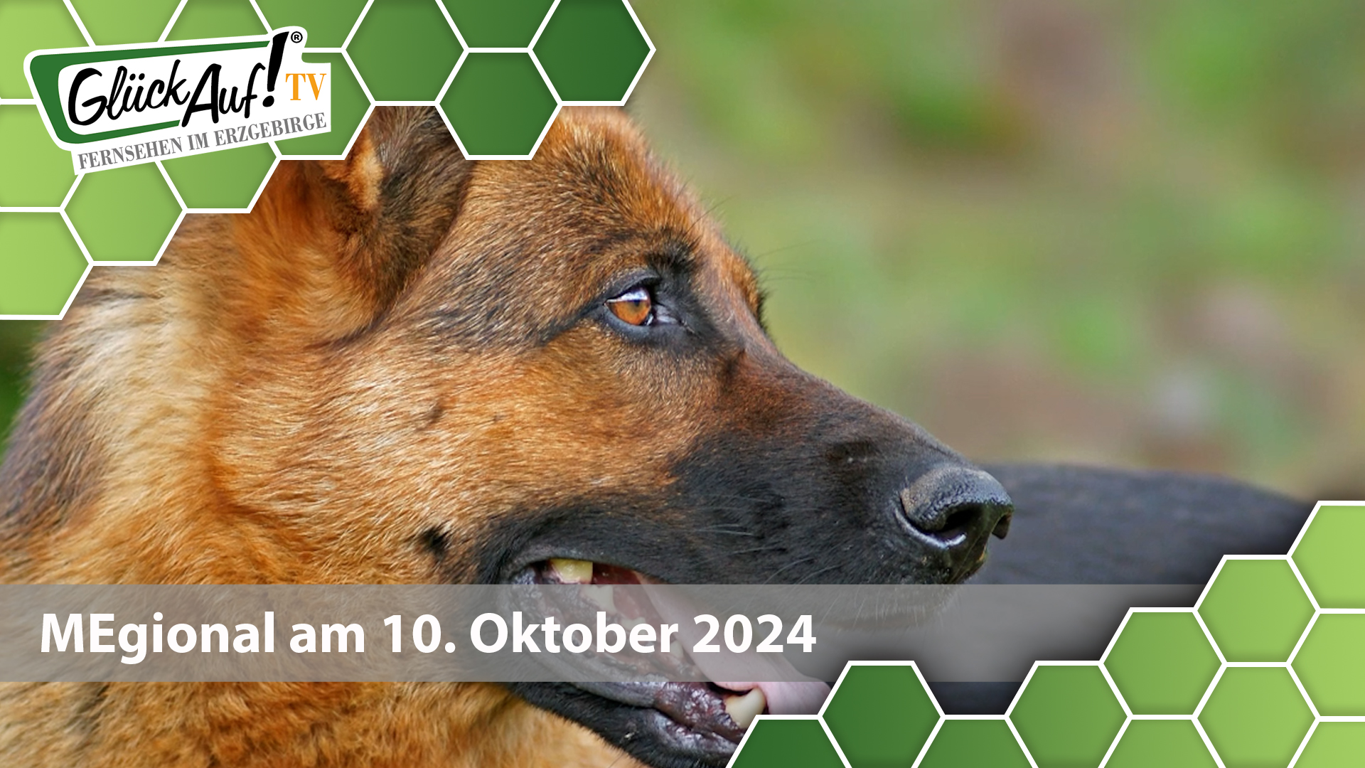 MEgional am 10. Oktober 2024 mit der Auszeichnung Kleingartenwettbewerb im Erzgebirgskreis