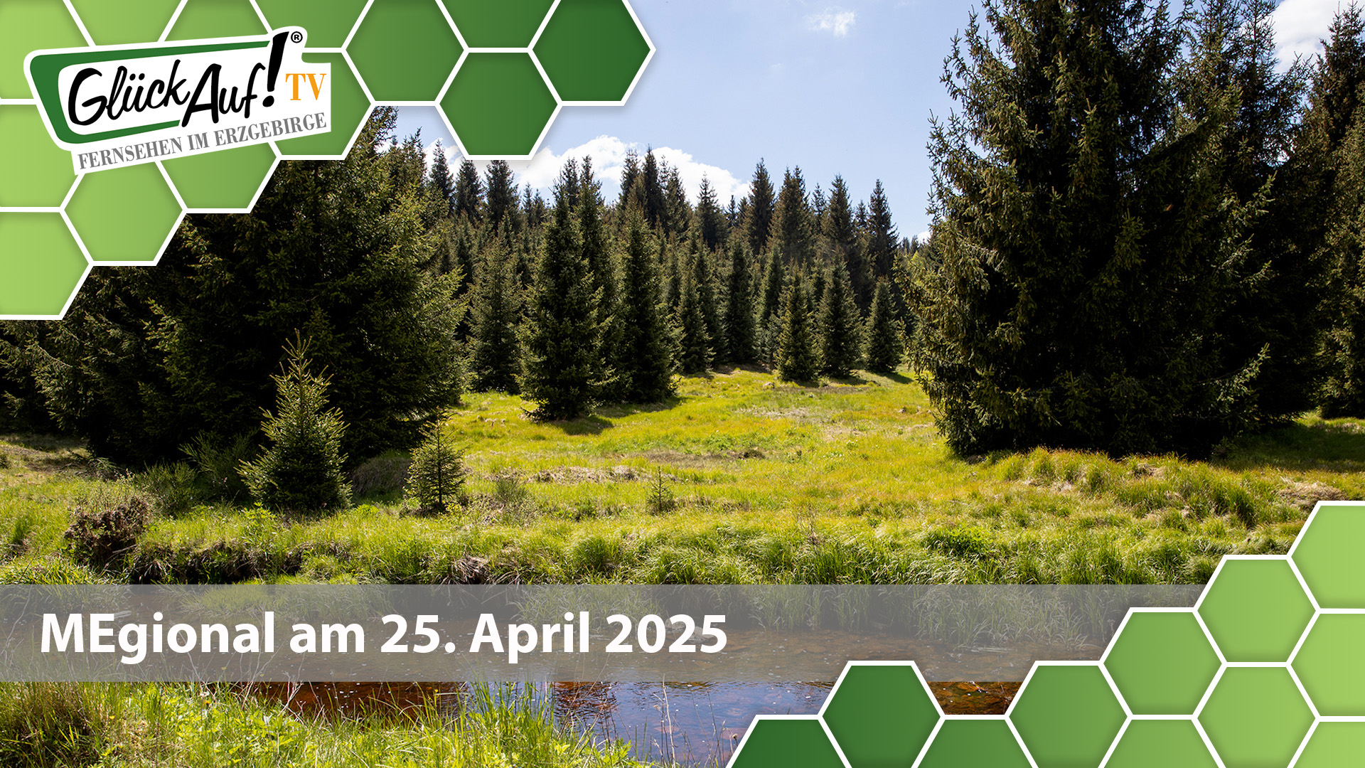 MEgional am 25. April 2025 mit dem Thema: Tag des Baumes